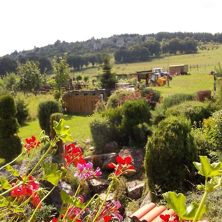 Penzion Ranch Fah Lejlighed Spišské Podhradie Eksteriør billede